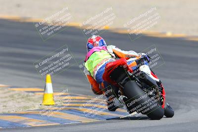 media/Mar-10-2024-SoCal Trackdays (Sun) [[6228d7c590]]/9-Turn 8 Backside (1150am)/